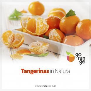 Tangerinas in Natura