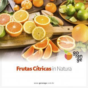 Frutas Ctricas in Natura