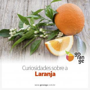 Curiosidades sobre a Laranja