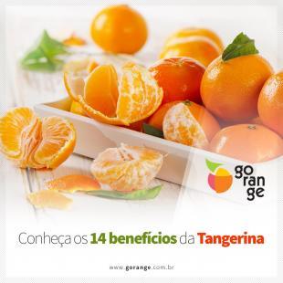 Conhea os 14 Benefcios da Tangerina