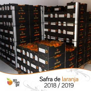 Safra de laranja 2018/2019