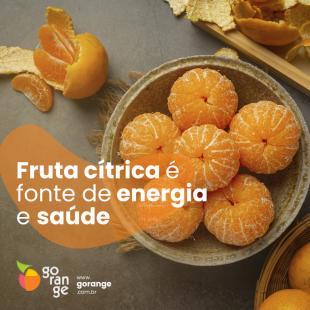 Fruta ctrica  fonte de energia e sade 