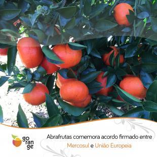 Abrafrutas comemora acordo firmado entre Mercosul e Unio Europeia