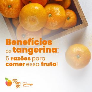 Benefícios da tangerina: 5 razões para comer essa fruta
