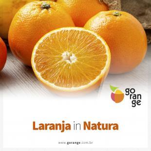 Laranja In Natura