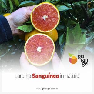 Laranja Sangunea