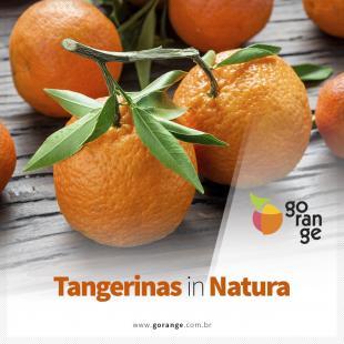 Tangerinas in Natura