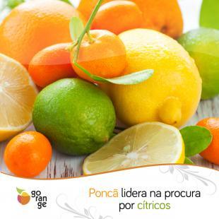 Citrus: Ponc lidera na procura por ctricos