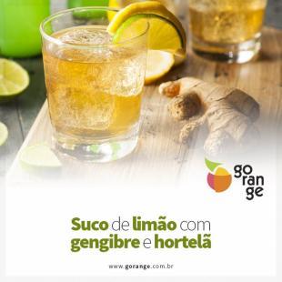 Suco de Limo com Gengibre e Hortel