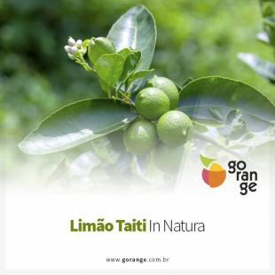 Limo Taiti in Natura