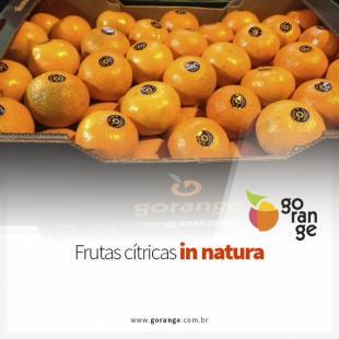 Frutas Ctricas in Natura