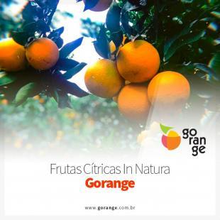 Frutas Ctricas in Natura