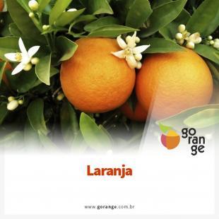 Laranja