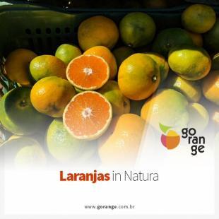 Laranjas In Natura