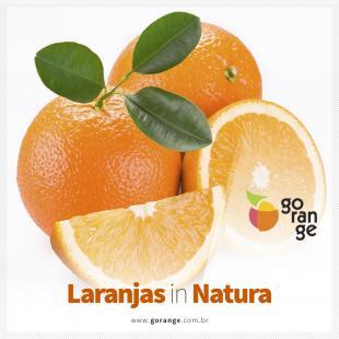 Laranjas In Natura