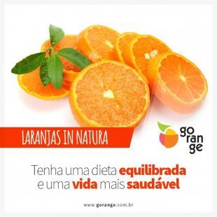 Laranjas In Natura