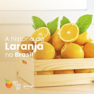 A histria da Laranja no Brasil